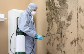 Best HVAC Mold Inspection and Cleaning  in Ellenton, FL